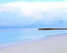 包含马尔代夫劲旅勇猛作战，获得榜首的词条